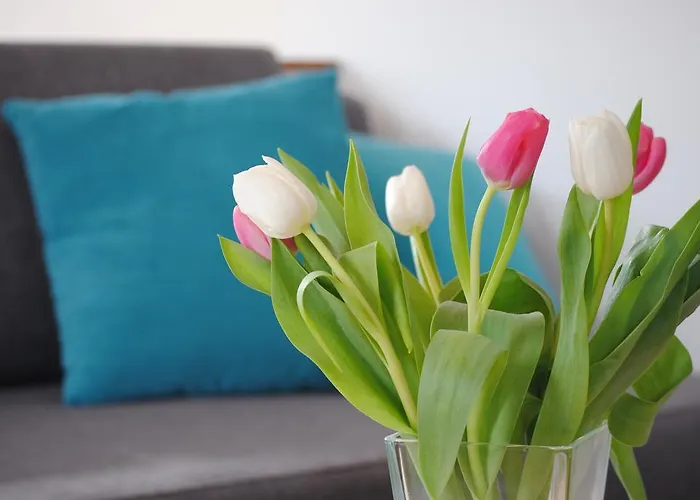 דירה An Der Gramme Niederzimmern