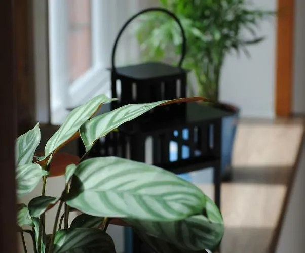 An Der Gramme * Niederzimmern